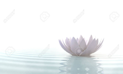 centre remise en forme bien etre a vendre, cession salle de yoga, vente centre remise en forme, cession salle bien etre, vente centre aquabiking